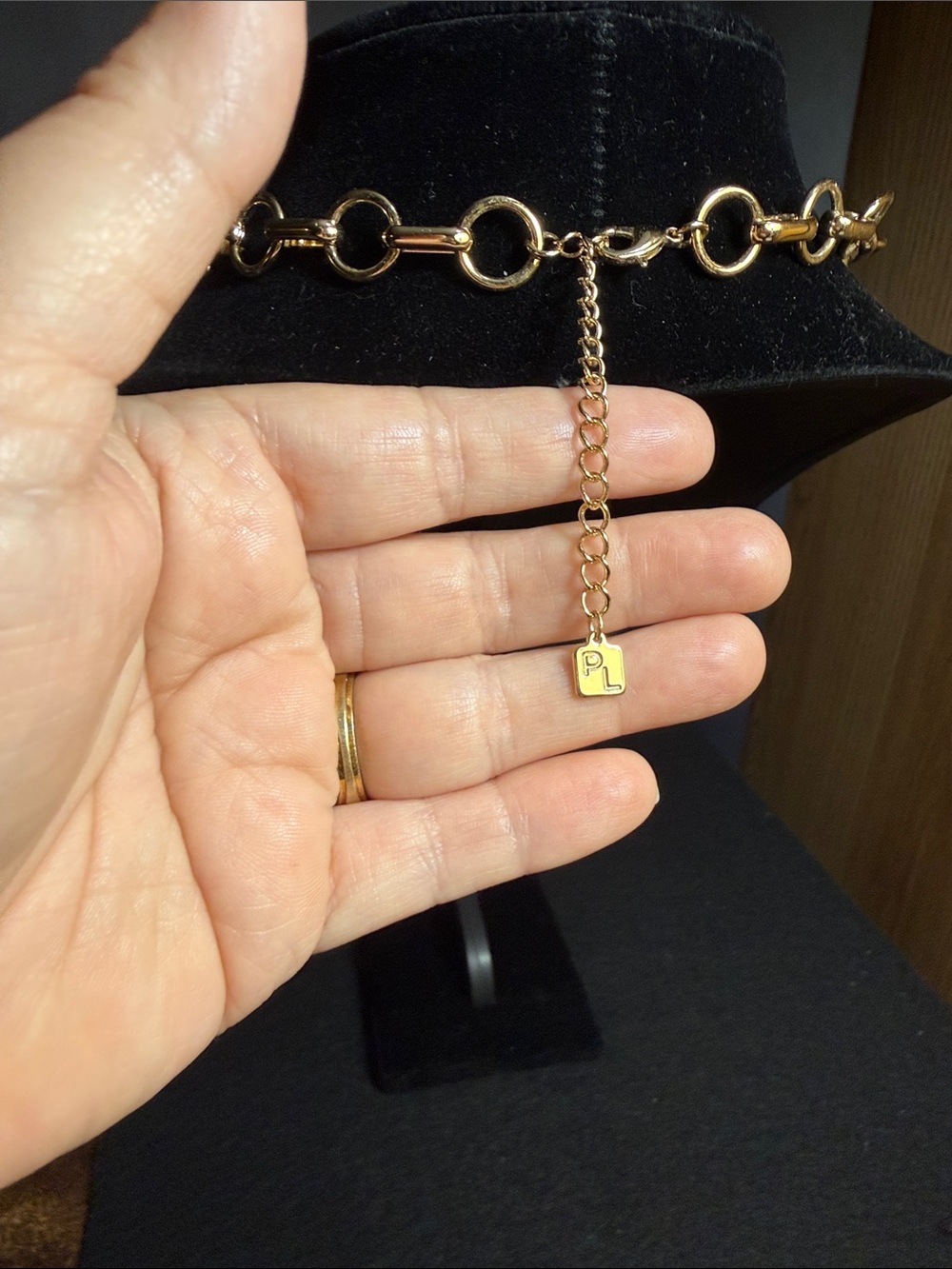 Park Lake Gold-Tone Chain Link Necklace with “Gatsby” Charm